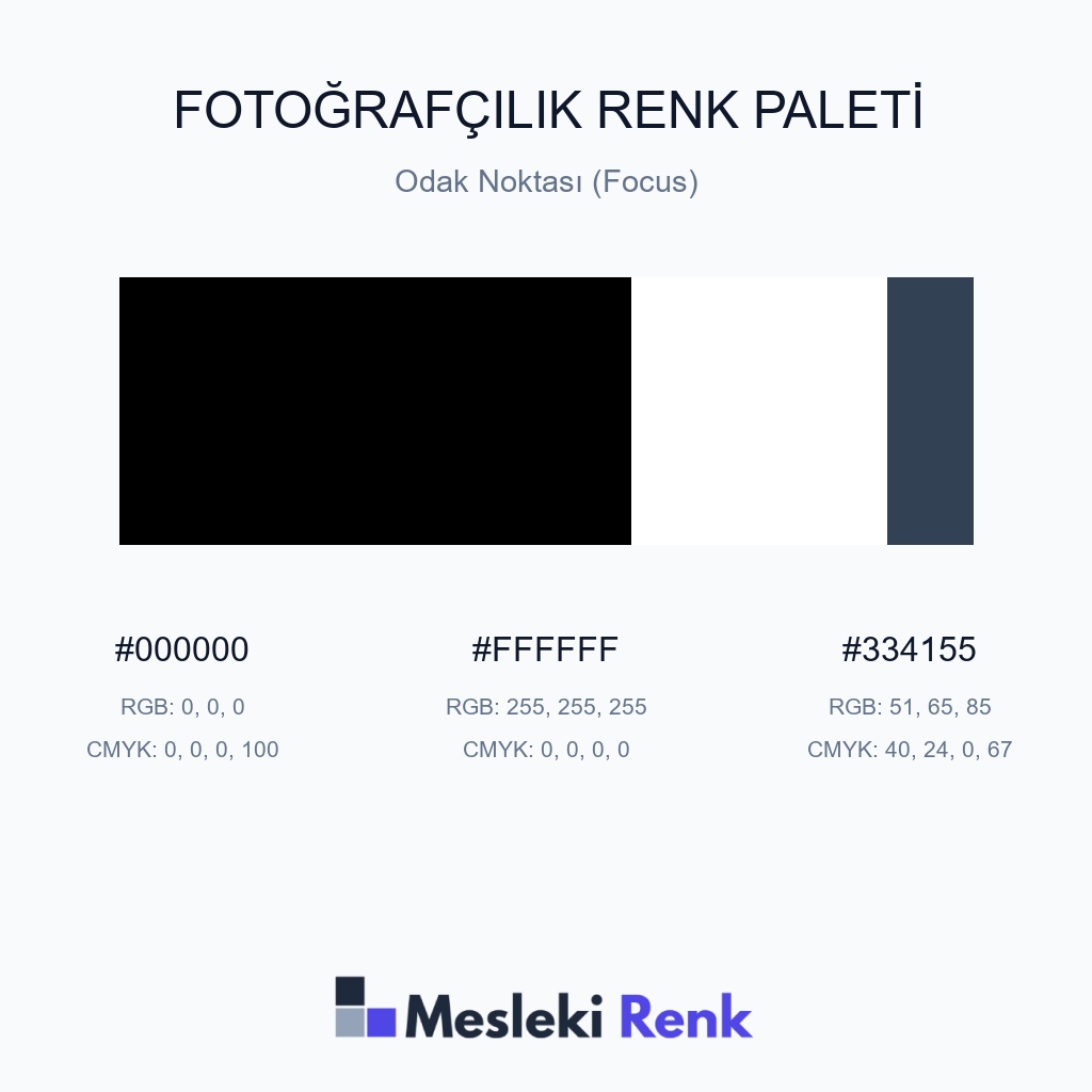 Fotoğrafçılık Odak Noktası (Focus) Renk Paleti