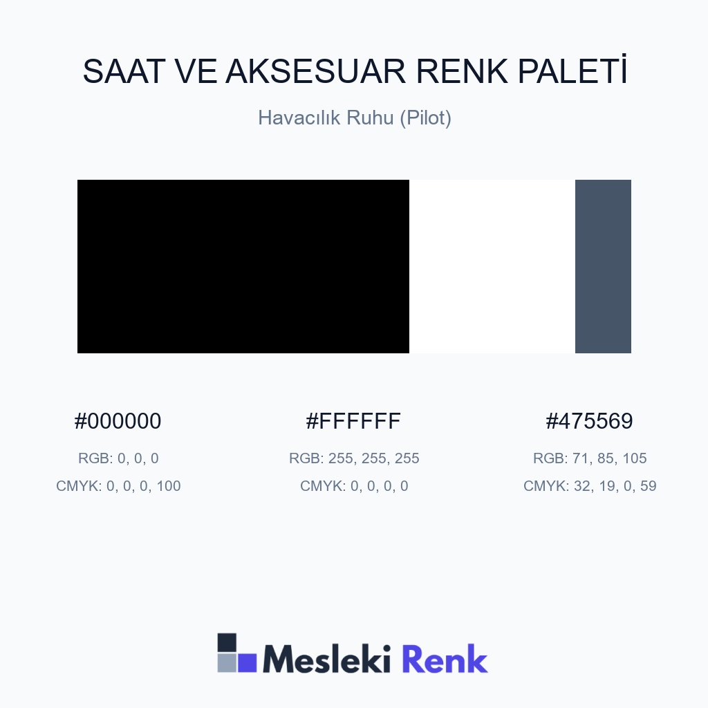 Saat ve Aksesuar Havacılık Ruhu (Pilot) Renk Paleti