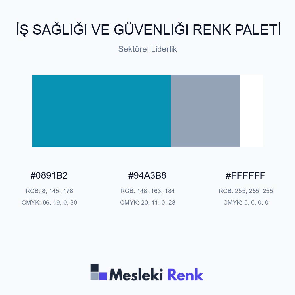 İş Sağlığı ve Güvenliği Sektörel Liderlik Renk Paleti
