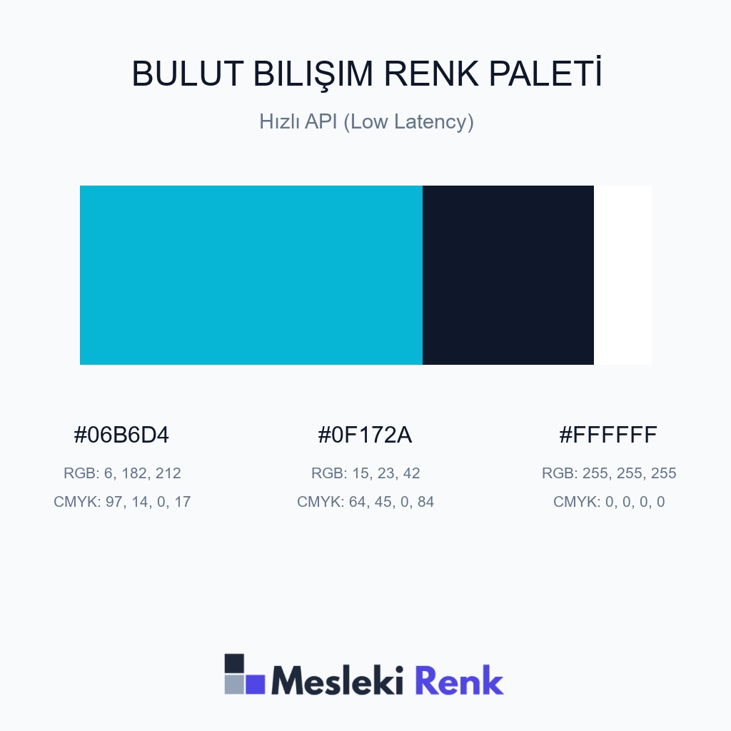 Bulut Bilişim Hızlı API (Low Latency) Renk Paleti